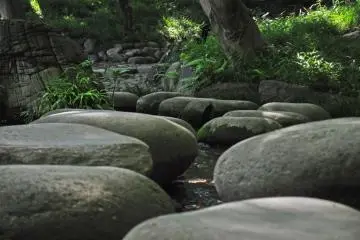 <p>Batu loncatan di seberang danau kecil</p>