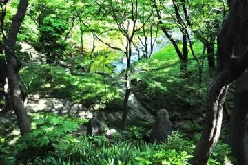 <p>Pemandangan dari atas taman</p>