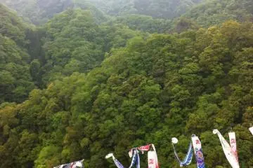 The dreamlike Hitachiota hills