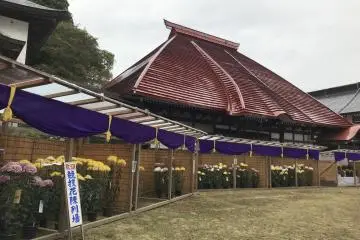 Gallery image