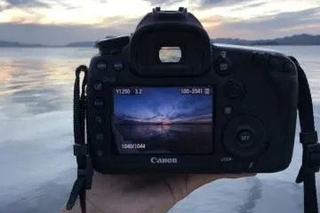 Nature through the camera.