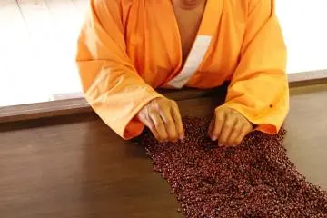 Plenty of time to count beans