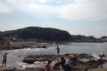 <p>이렇게 아이들은 잠자리채 같은 채를 들고 잘들 뛰어다니더군요. 위험해보였지만 그저 천진난만해보이는 모습이 과거의 저를 생각나게 했습니다.</p>