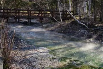 Nature trails in the middle of town