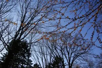 Sun is setting in Kawayu-Onsen