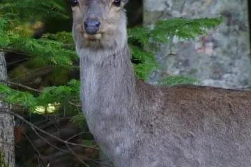 Staring contest......you and me......now!
