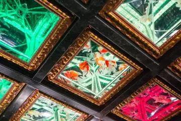 The Ceiling Kingyo, the goldfishes seem confused. 