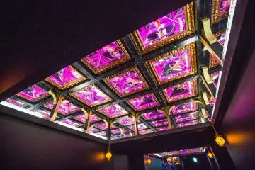 The Ceiling Kingyo