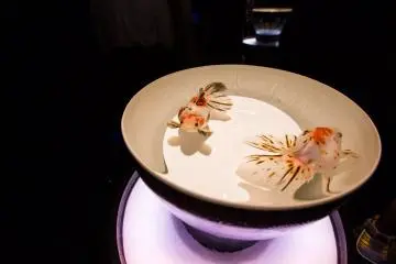 The simplicity of the bowl accentuates the beautiful patterns of the goldfishes. 