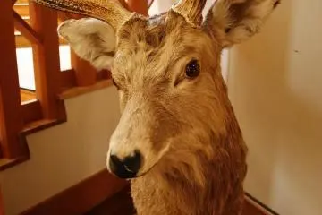 What are you looking at?