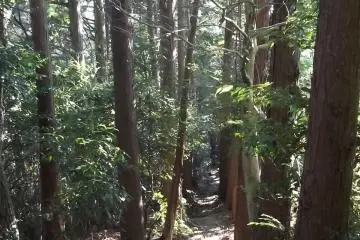 On the path down