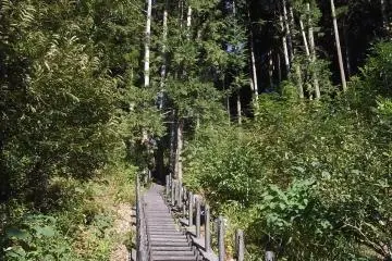 The steps at the other end of the walk