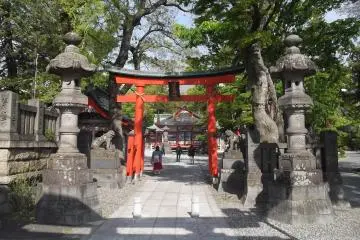 The main gate
