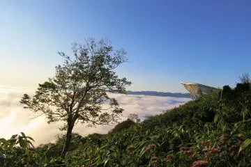 There are clouds as far as the eyes can see.