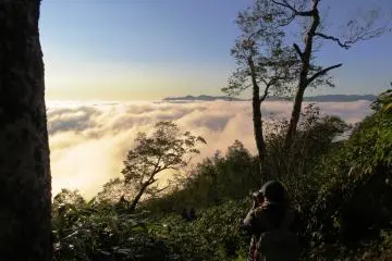 A sea of clouds
