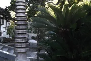 In the temple grounds