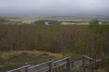 The mammoth wetlands of the national park