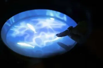 Interacting with fish projections in water