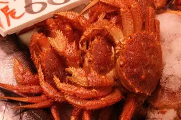 Plenty of seafood to choose from and take home