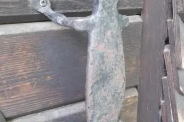 A gecko
