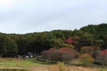 Hard to see autumn foils yet.