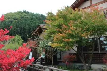 Wooden bridge after the gate.