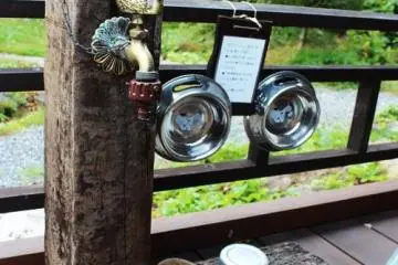 Water dishes for dogs or pets