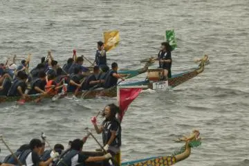 Dragon Boat Races in Yokohama