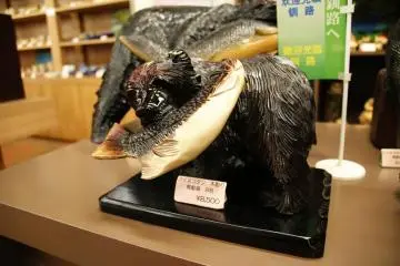 Wood carvings of local nature