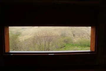 Bird watching in Nemuro