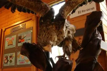 Some of the wildlife you may see