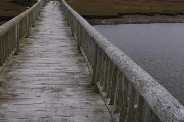 A bridge to nature