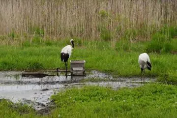 Time for a drink