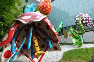 Flowers of Illusions