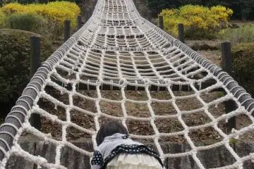 Shortcut to the playground