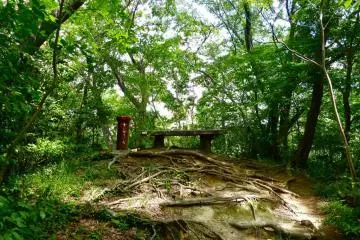 There are several places to sit and enjoy a picnic