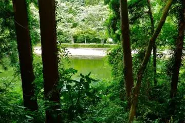 The lake as seen from the path