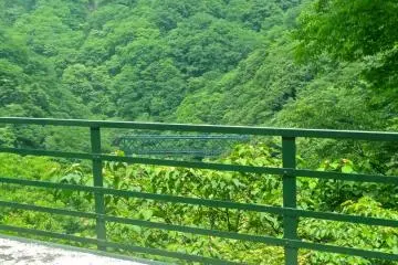 A view of Deyama iron bridge nestled in the lush green forest after departing from the switchback section