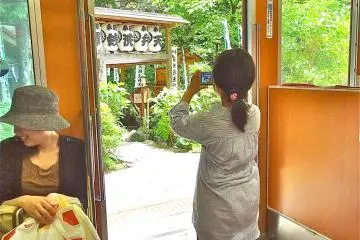 A little photographer taking advantage of a photo opportunity at one of the stops along the Hakone Tozan Railway