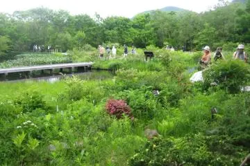 The lush botanical garden, easily accessible via boardwalks