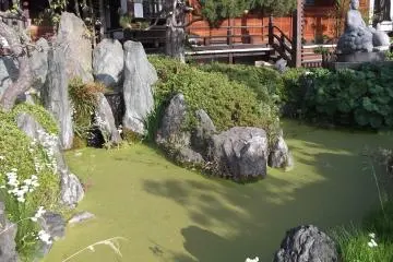The pond in front of the worship hall at Ryuko-ji