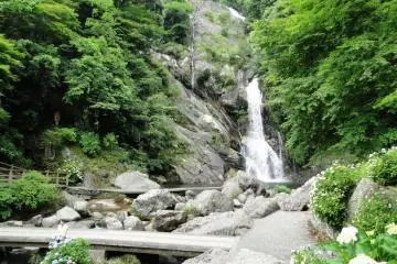 <p>น้ำตกมิคาเอริในซางะ</p>