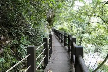 <p>ทางเดิน</p>