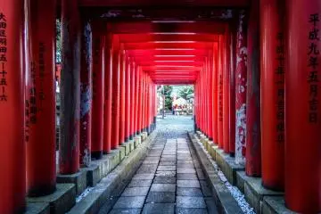  As you look towards the right of the main shrine, you will see a trail of red ‘tori’, similar to those of Kyoto’s world famous Fushimi Inari Shrine 