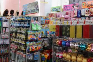 <p>วิกผม, สินค้าดิสนีย์ และกระปุกออมสินลูกหมู ทั้งหมดอยู่ในร้านเดียวกัน</p>