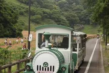รถไฟดอกไม้ที่จะนำผู้เข้าชมไปยังบริเวณรอบ ๆ สถานที่สำคัญในสวน ตั๋ววันเวย์สำหรับผู้ใหญ่ 200 เยน และ 100 เยนสำหรับเด็ก คุณจะได้แผนที่จะได้แผนที่ของสวน เพื่อคุณสามารถวางแผนเส้นทาง แผนที่ภาษาอังกฤษก็มีจัดไว้ให้