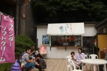 ตรงทางเข้าสวนจะมีร้านขายไอศครีม และร้านขายของที่ระลึกอยู่ตรงขวามือ มีร้านอาหารอยู่บนเขาทางซ้ายมือ (ไม่มีในภาพ) 