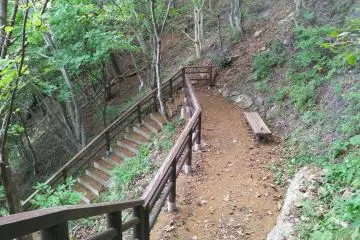 Part of the 360 steps down to the water