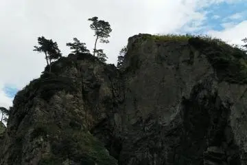 A pine on the top of the crag in the ocean