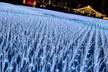 The Genfukei uses individual lights to create enormous fields of grass